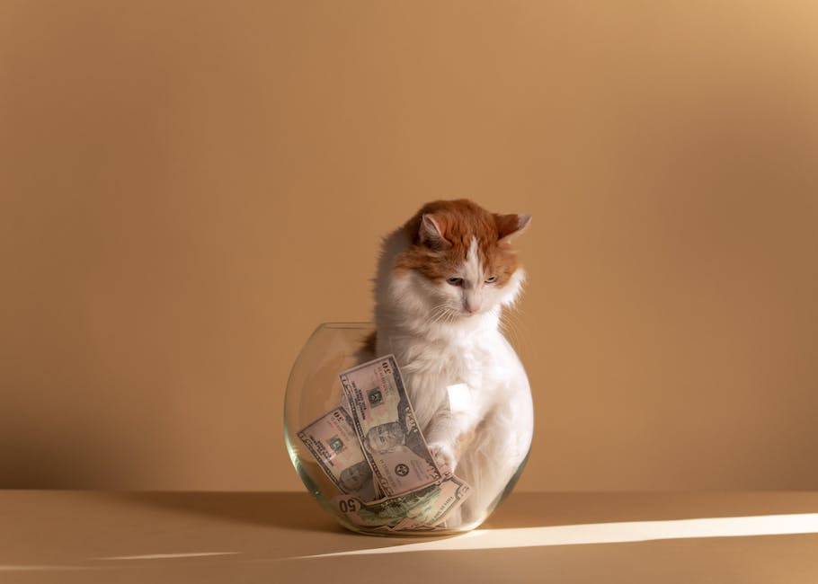  Geld verdienen durch das Schreiben von Chats